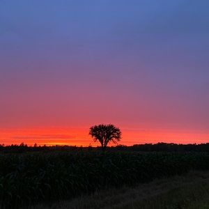 Meet your Posher, Saige